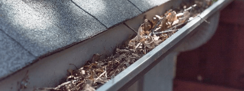 gutter with leaves and debris that need to be cleaned